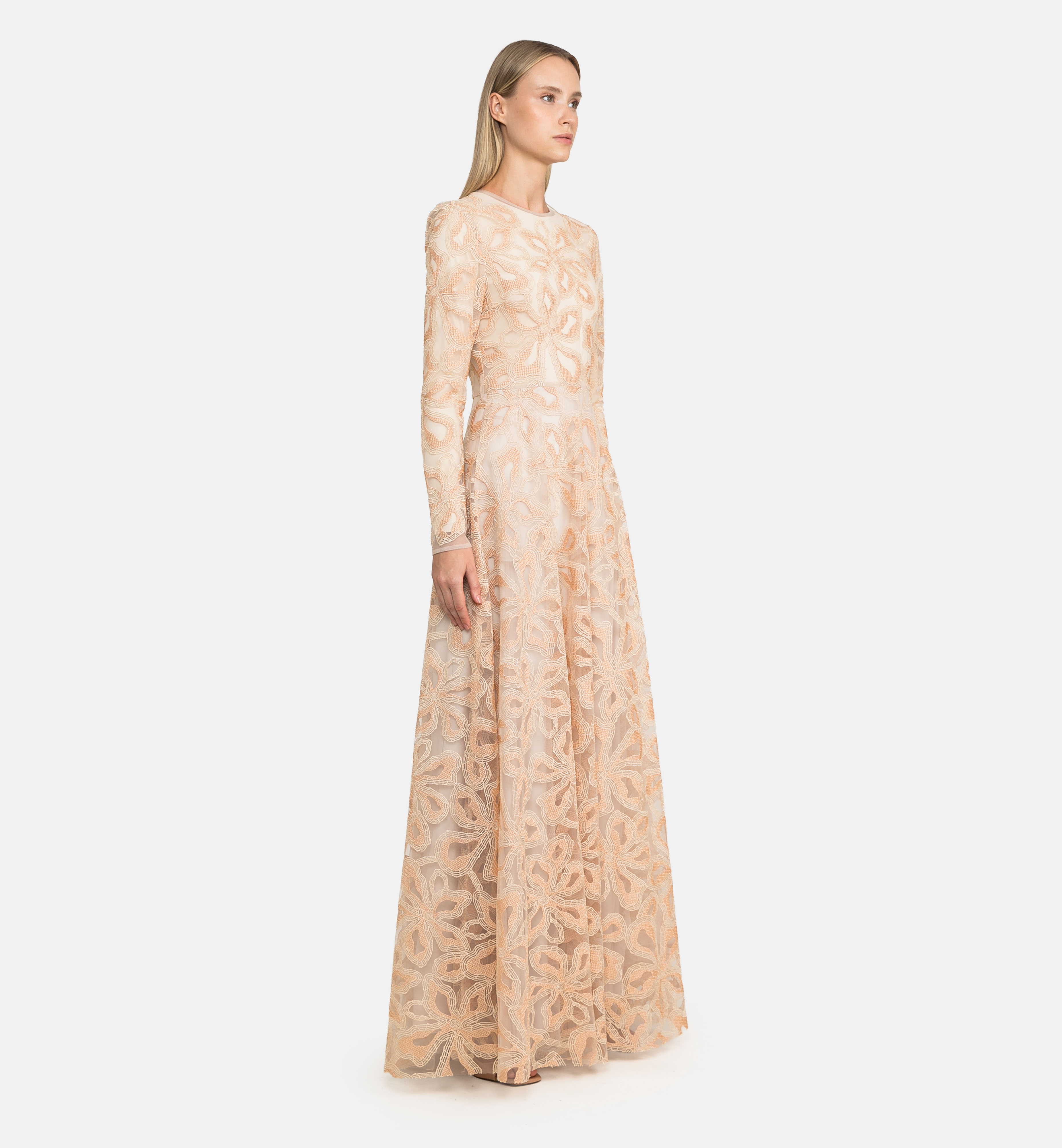 Embroidered tulle maxi dress, powder