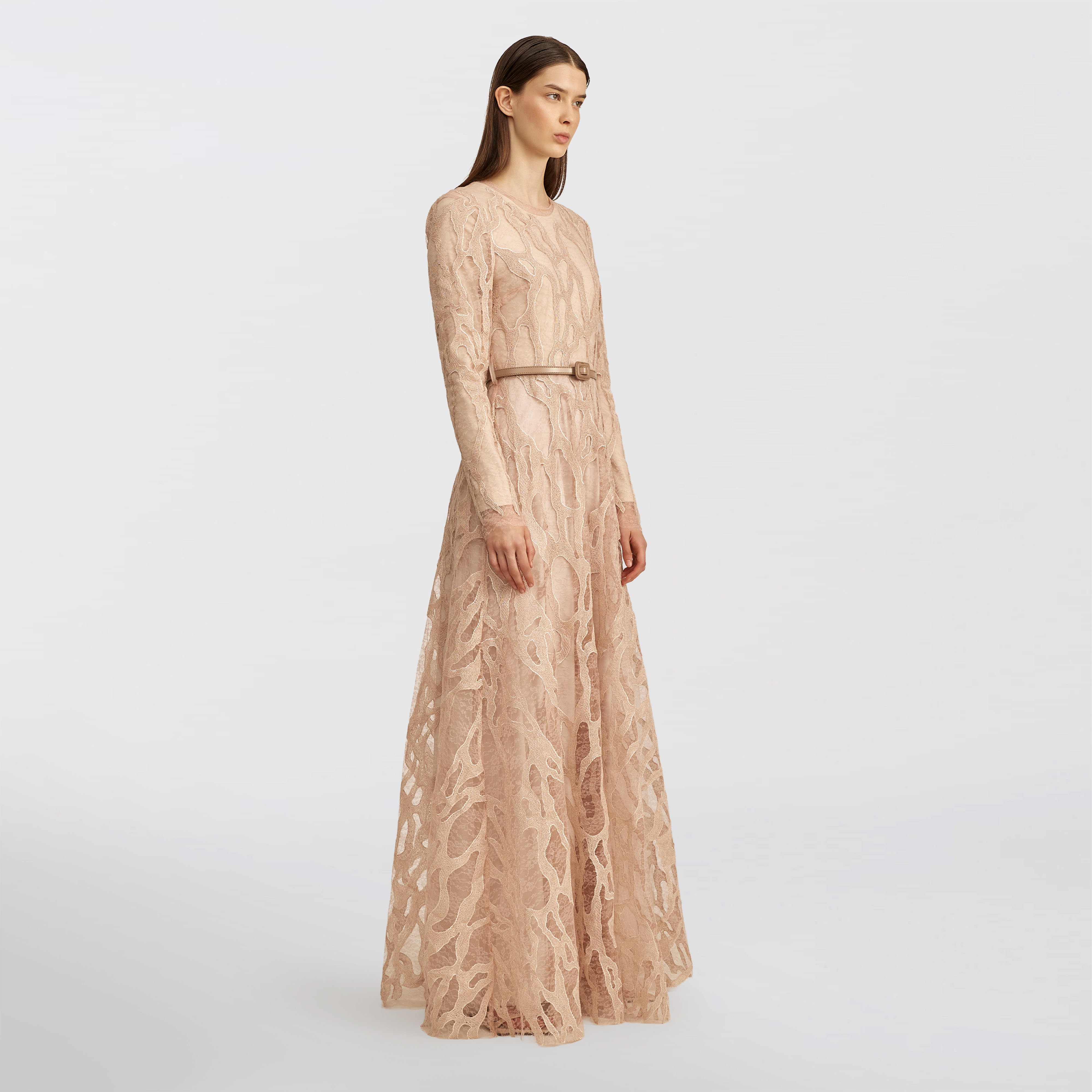 Lace and embroidered Maxi dress, Nude